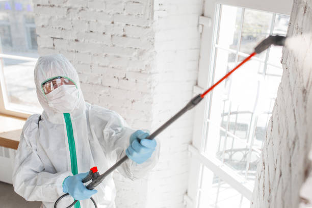 Best Mold Remediation for Healthcare Facilities  in Navarre, FL