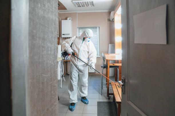 Best Water Damage & Mold Remediation  in Navarre, FL