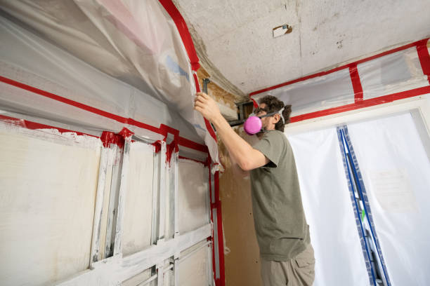 Best Commercial Mold Inspection  in Navarre, FL