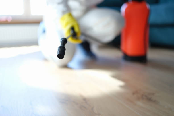 Best Real Estate Mold Inspection  in Navarre, FL