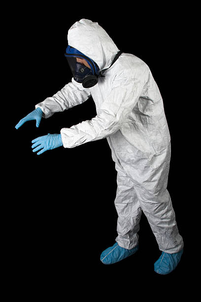 Best Environmental Consulting for Mold Prevention  in Navarre, FL