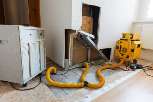 Best Indoor Air Quality Assessment  in Navarre, FL